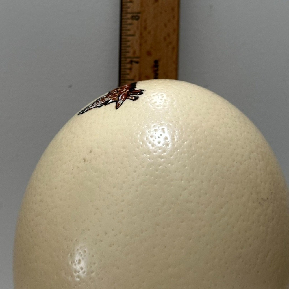 Hand-Painted Ostrich Egg Art "Giraffe and Foal" by Monica Wilson – South Africa - Picture 8 of 10